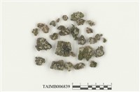 藏品(錢蘚屬)的圖片